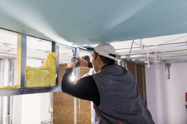 Best Commercial Insulation in Ironwood, MI