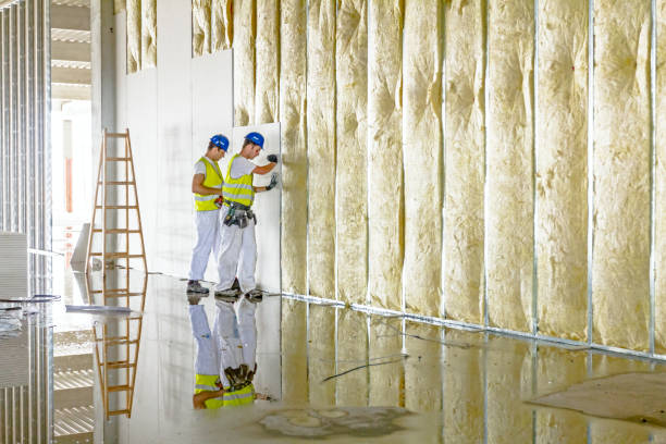 Best Residential Insulation in Ironwood, MI